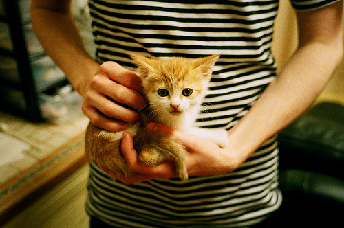 浙江雄狮外线手感火热连续命中关键三分,浙江雄狮薄荷烟哪里买