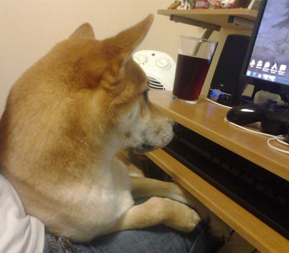 卡普尔的突破、传球与防守三位一体，为袋鼠队创造全新战术空间