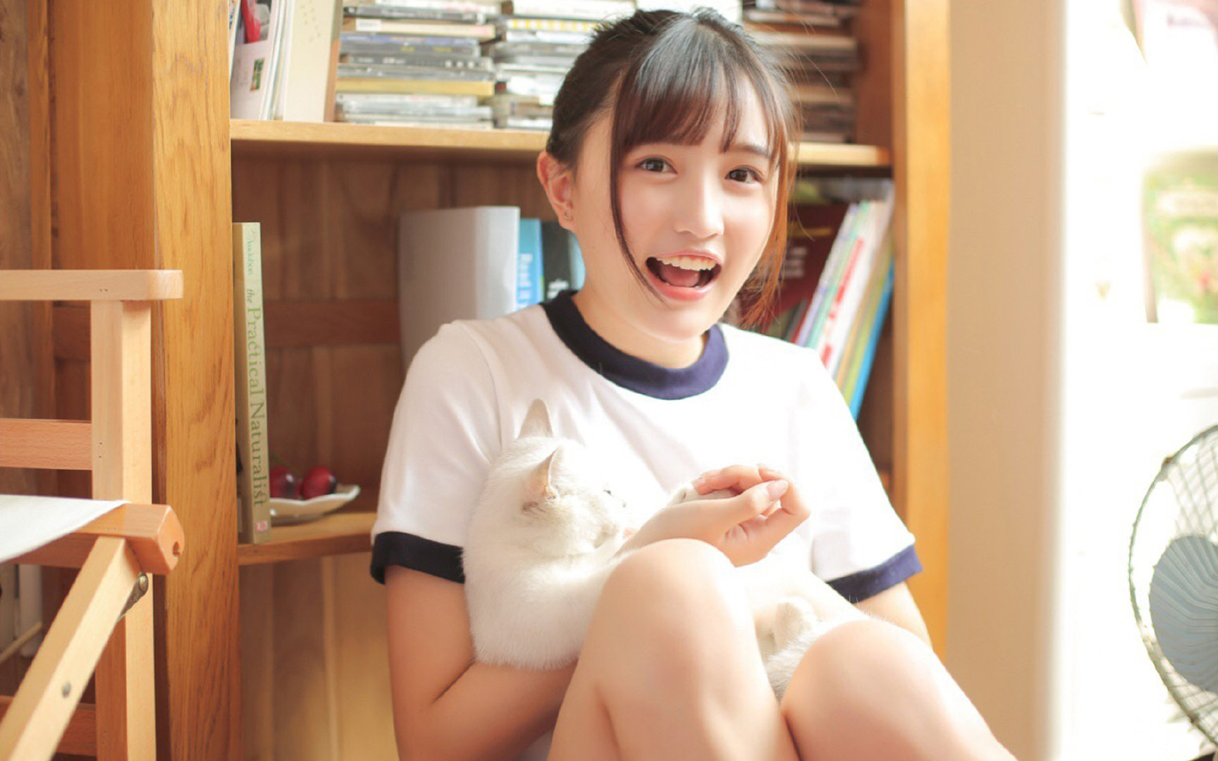 德甲策略多变：变化出奇，精彩纷呈！，德甲格局