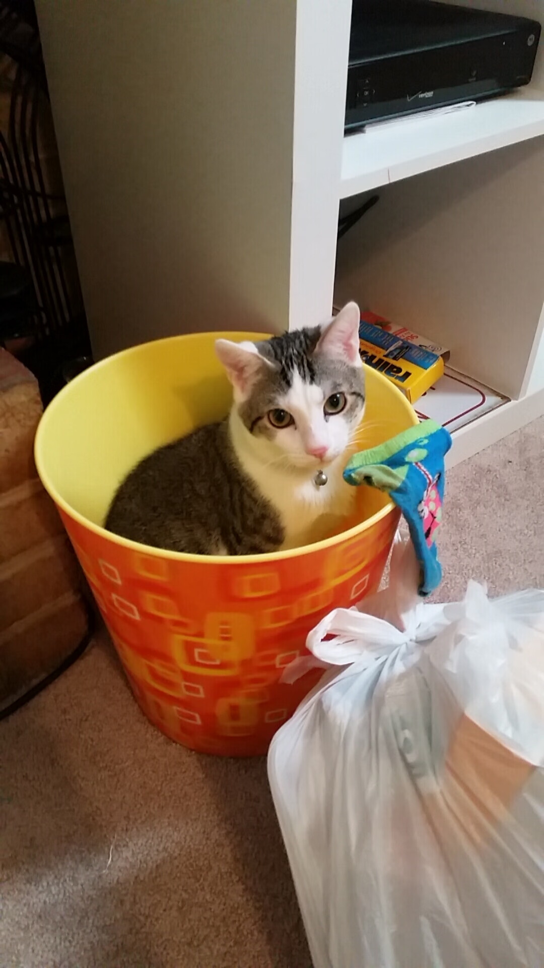 拜仁慕尼黑攻防两端表现稳定，德甲领跑