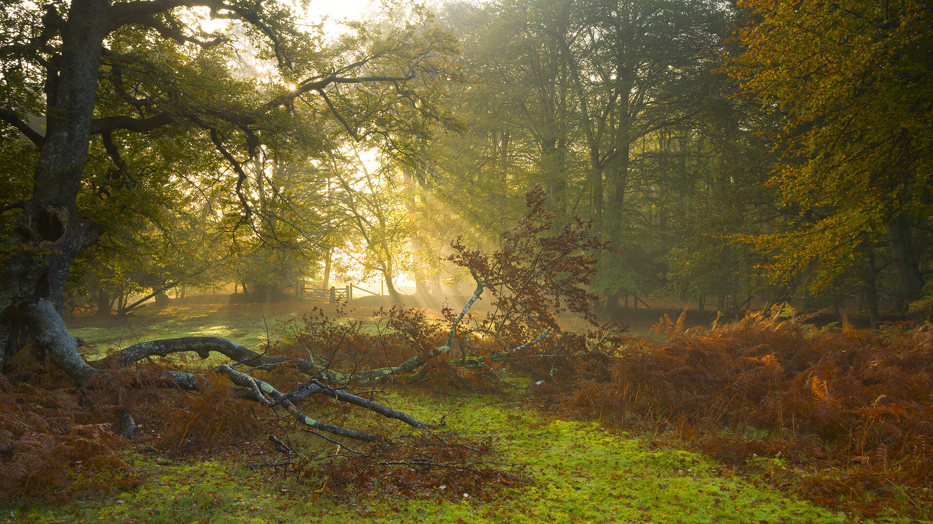 开云体育链接-美洲杯媒体报道的态度变化，美洲杯新闻