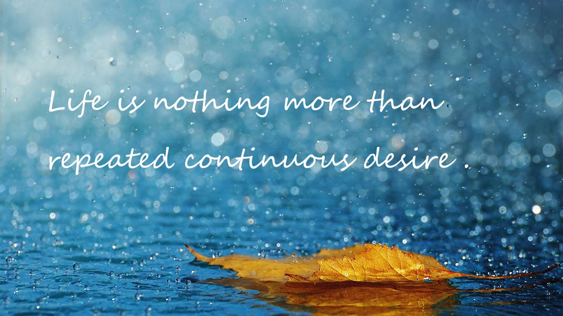 开云官网-莱德基耐力与速度兼备称霸赛场，莱德基有多强